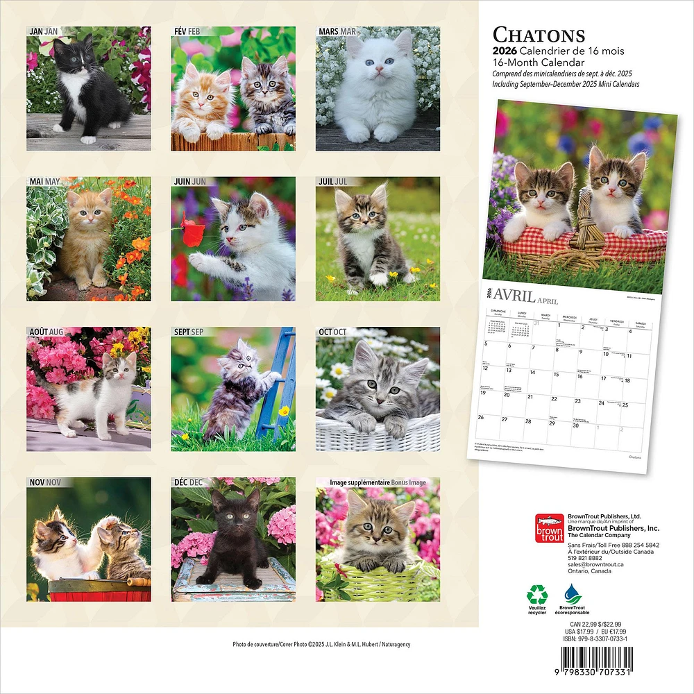 Chatons 2026 Wall Calendar (French)