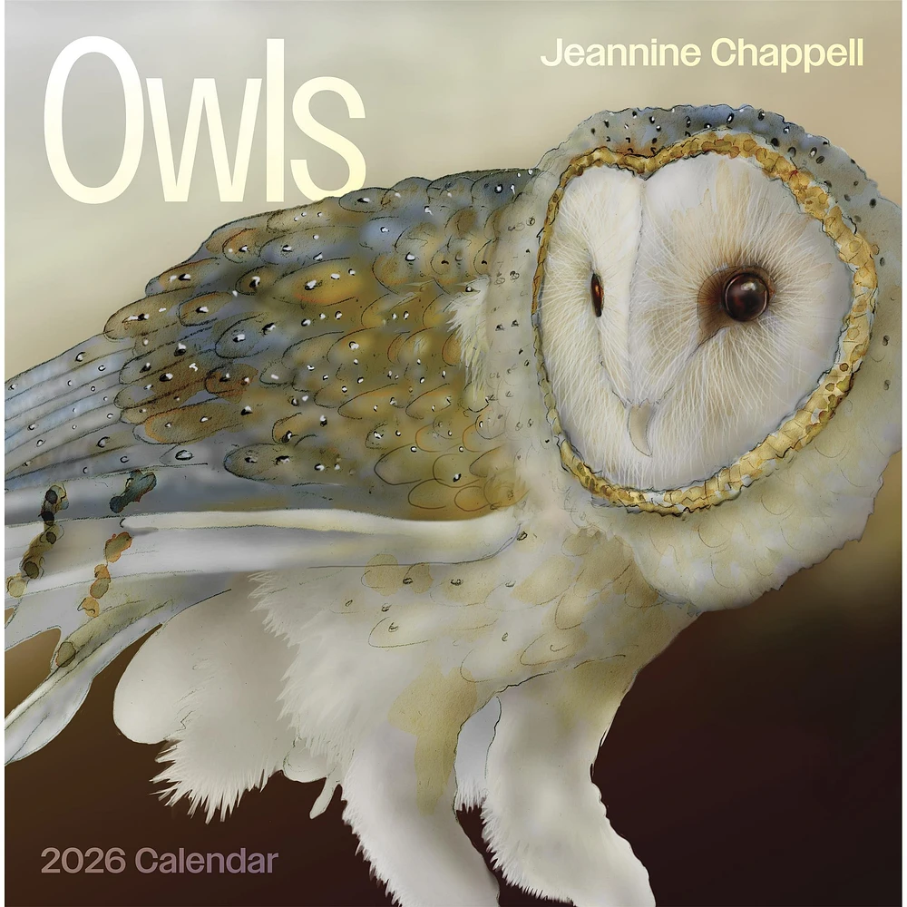 Owls Jeannine Chappell 2026 Wall Calendar