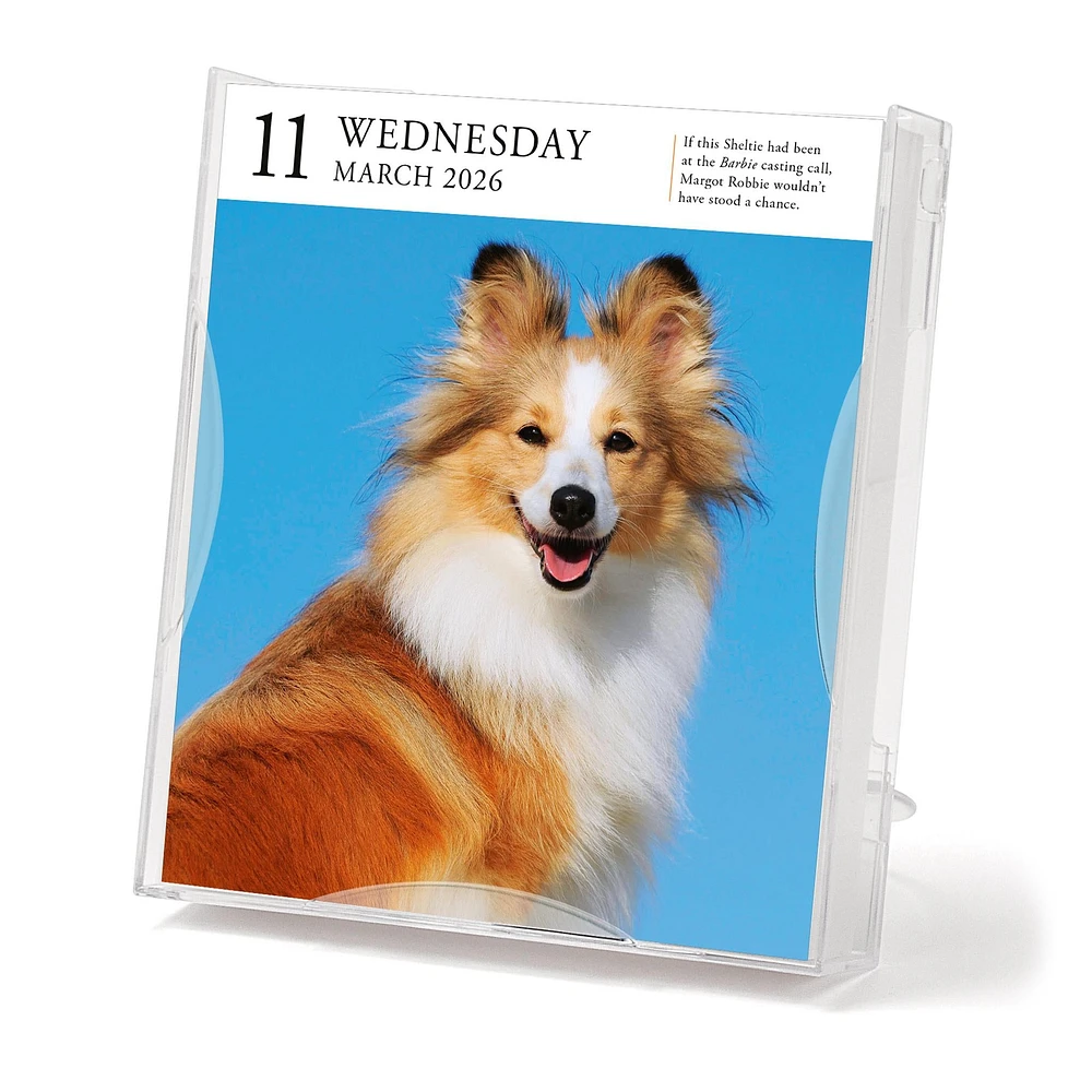 Dog Gallery 2026 Box Calendar