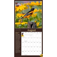 Audubon Birds In The Garden Wall 2025 Calendar