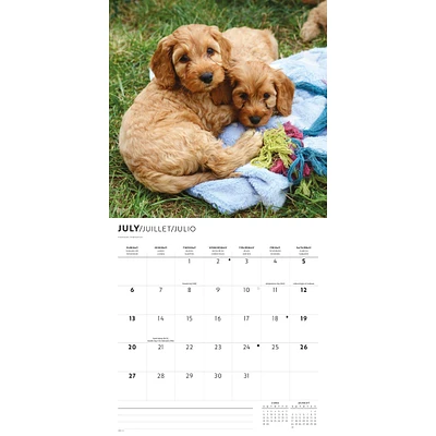 Puppy Love Wall 2025 Calendar