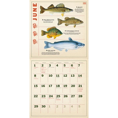 Twelve Months Of Fishing Wall 2025 Calendar