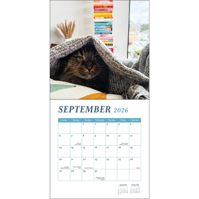 Cats And Books 2026 Wall Calendar