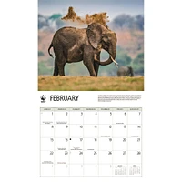 World Wildlife Fund Elephants 2026 Wall Calendar