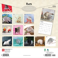 Rats 2026 Wall Calendar