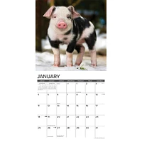 12 Little Piggies 2026 Wall Calendar - Online Exclusive