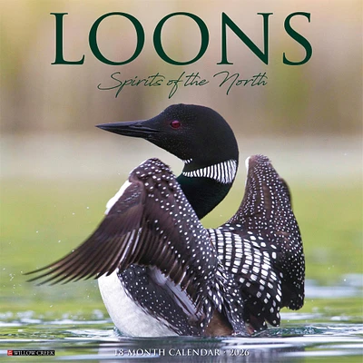 Loons 2026 Wall Calendar - Online Exclusive