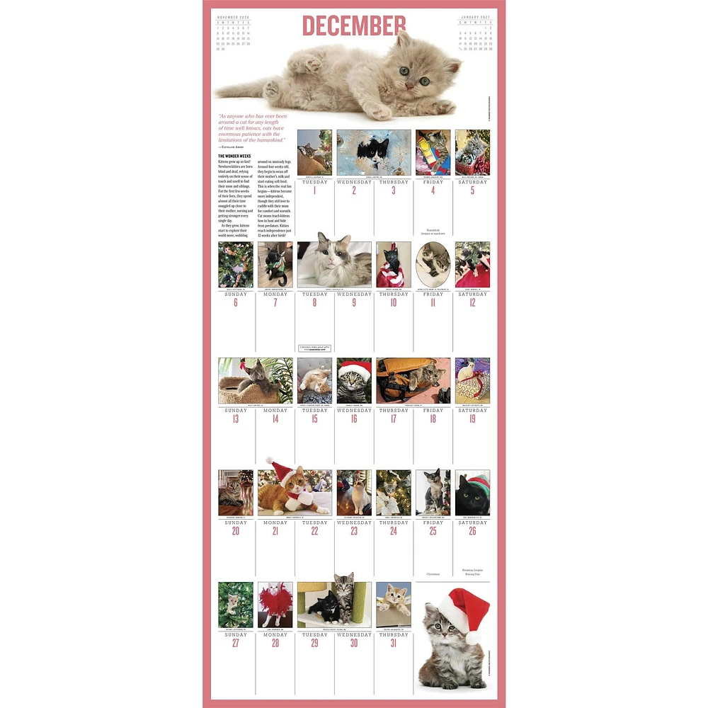 Kittens 365 2026 Wall Calendar