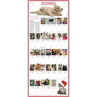 Kittens 365 2026 Wall Calendar