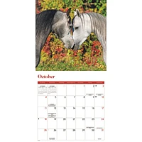 Horses 2026 Mini Calendar