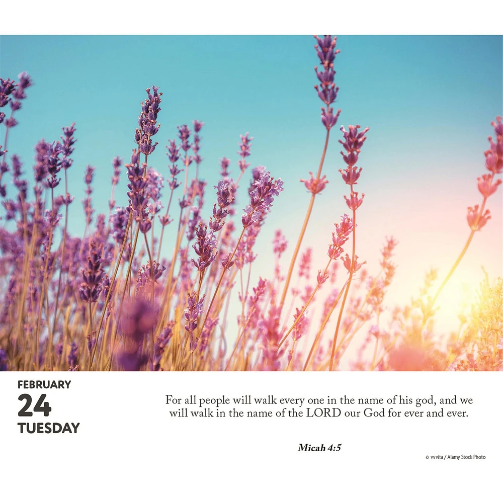 Bible Verses 2026 Box Calendar