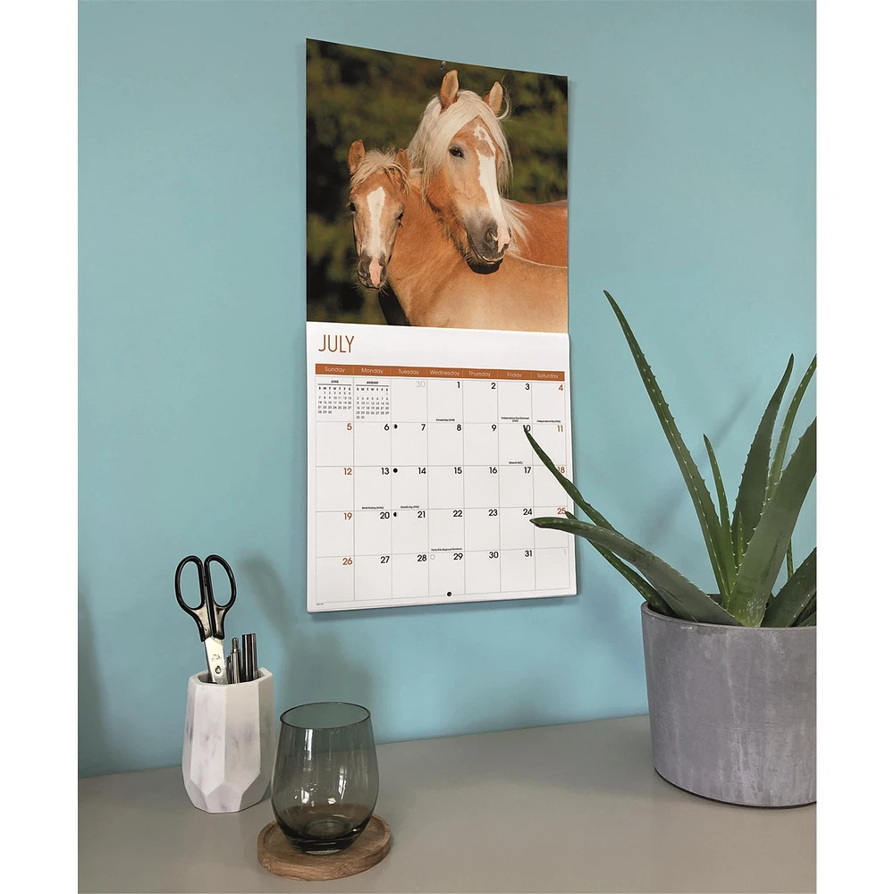 Horses 2026 Wall Calendar