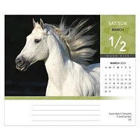 Horse Lovers Box 2025 Calendar - Online Exclusive