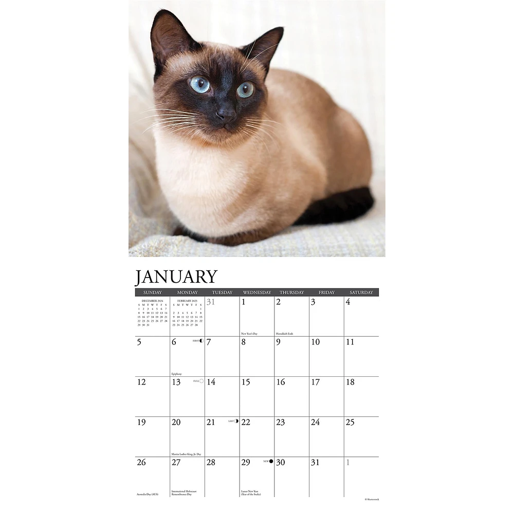 Siamese Cats Wall 2025 Calendar