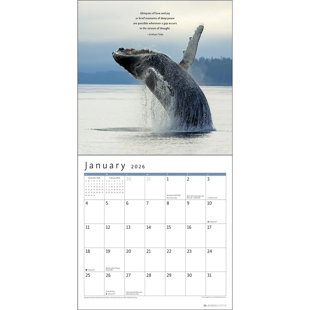 Power Of Now 2026 Wall Calendar - Online Exclusive
