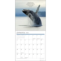Power Of Now 2026 Wall Calendar - Online Exclusive