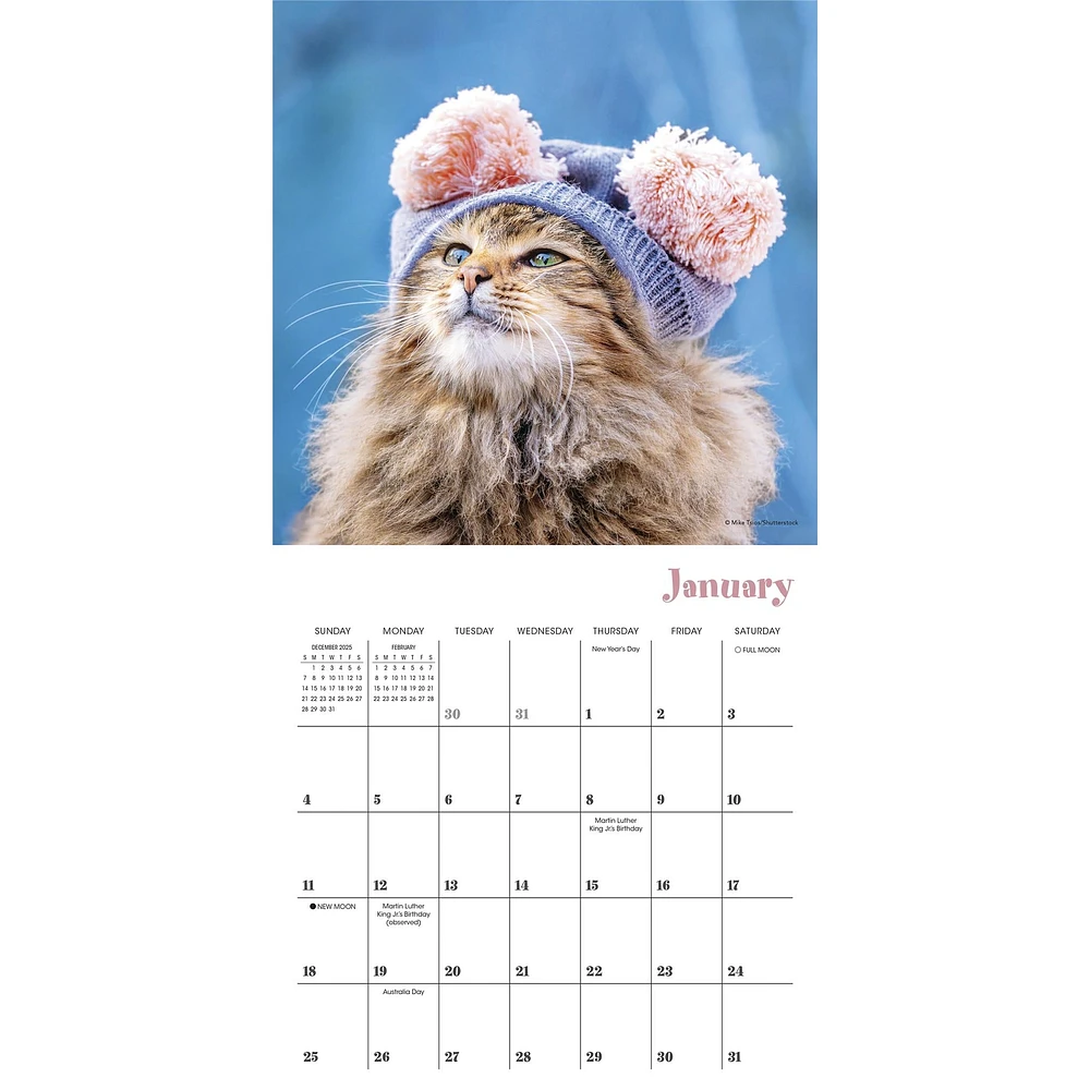 Cats In Hats 2026 Mini Calendar