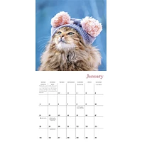 Cats In Hats 2026 Mini Calendar