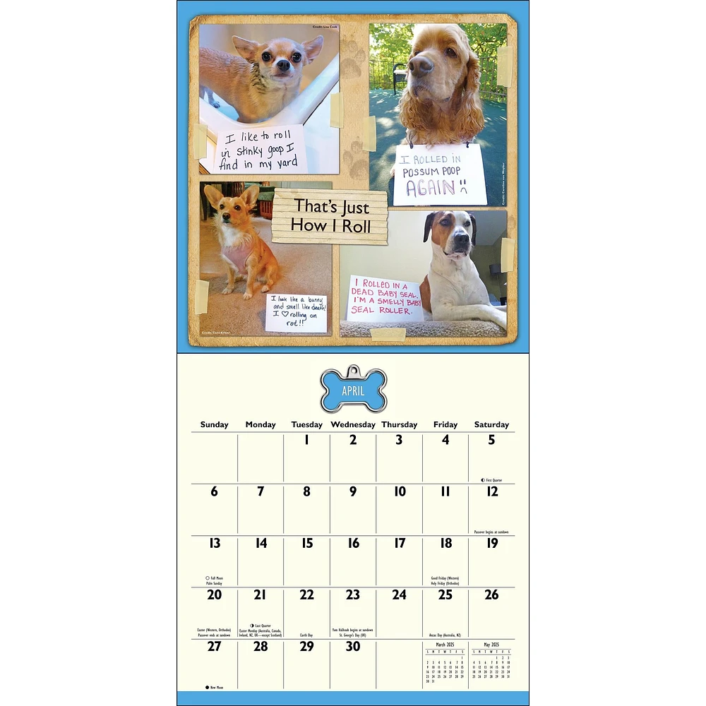 Dog Shaming Wall 2025 Calendar