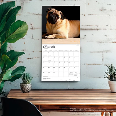 Pugs 2026 Wall Calendar