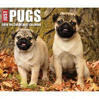 Just Pugs 2026 Box Calendar - Online Exclusive