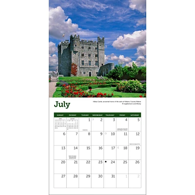 Ireland Mini 2025 Calendar