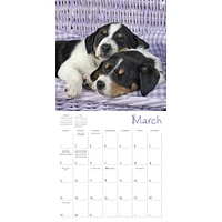 Pooped Puppies 2026 Wall Calendar - Online Exclusive