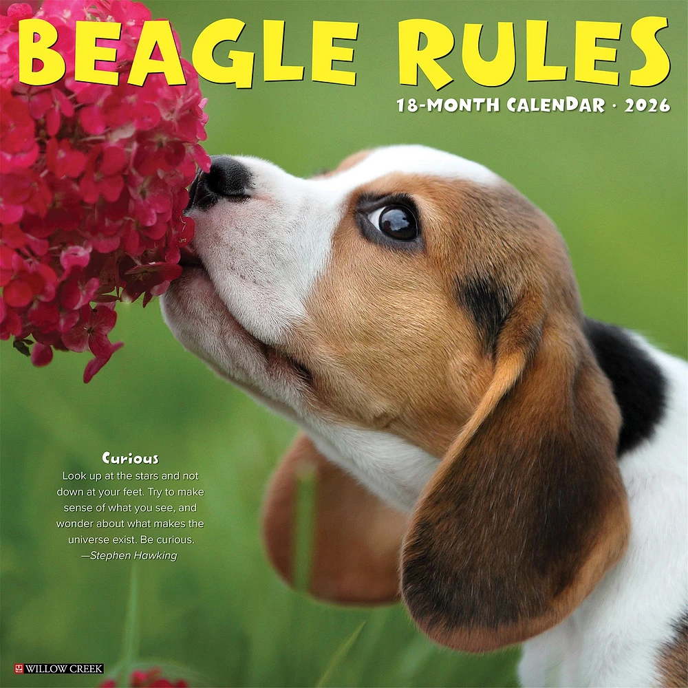 Beagle Rules 2026 Wall Calendar - Online Exclusive