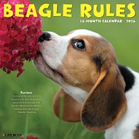 Beagle Rules 2026 Wall Calendar - Online Exclusive