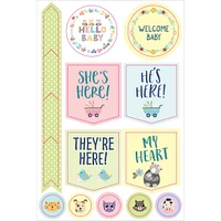 Pregnancy and Babys 1st Year Planner Stickers