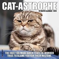 Catastrophe 2026 Mini Calendar