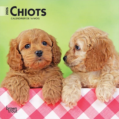 Chiots 2026 Mini Calendar (French)