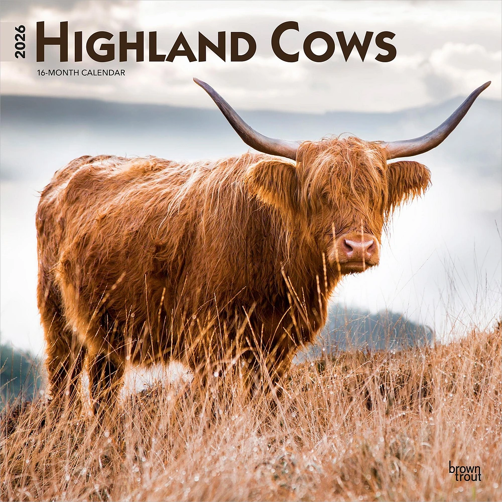 Highland Cows 2026 Wall Calendar