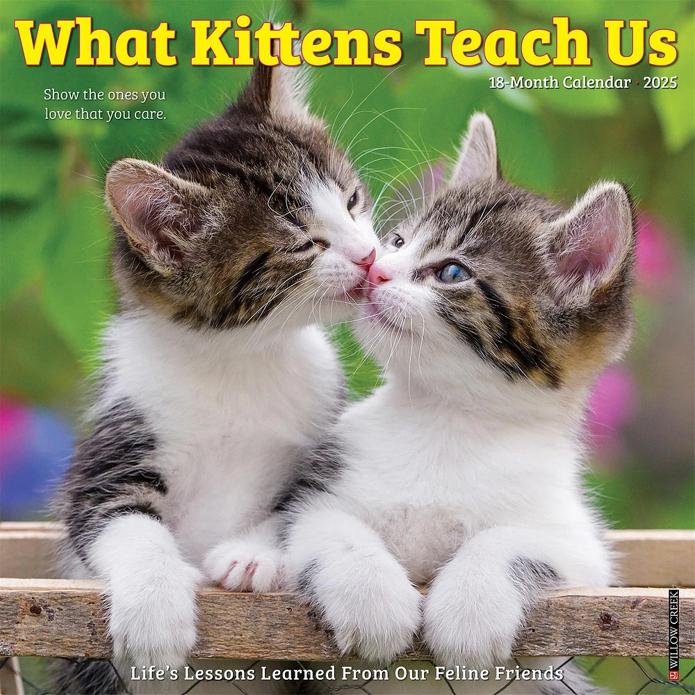 What Kittens Teach Us Wall 2025 Calendar