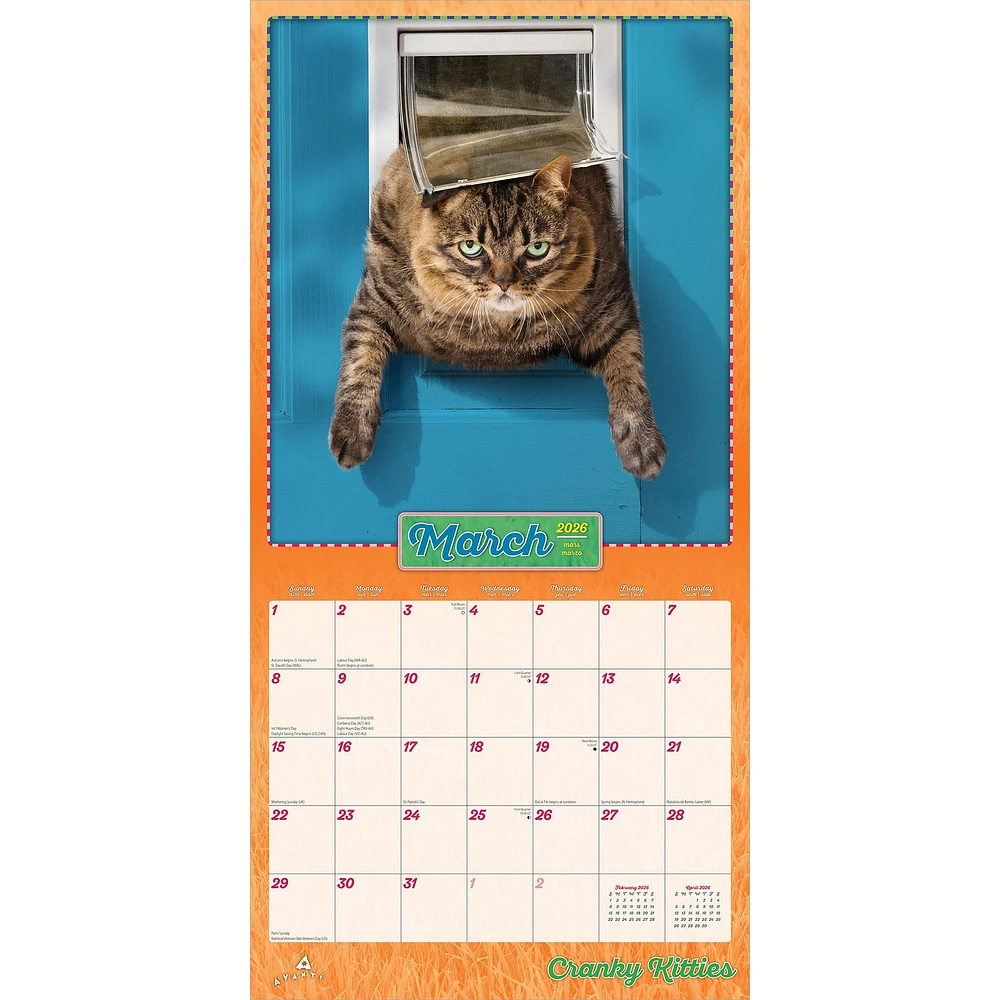 Avanti Cranky Kitties 2026 Wall Calendar - Online Exclusive