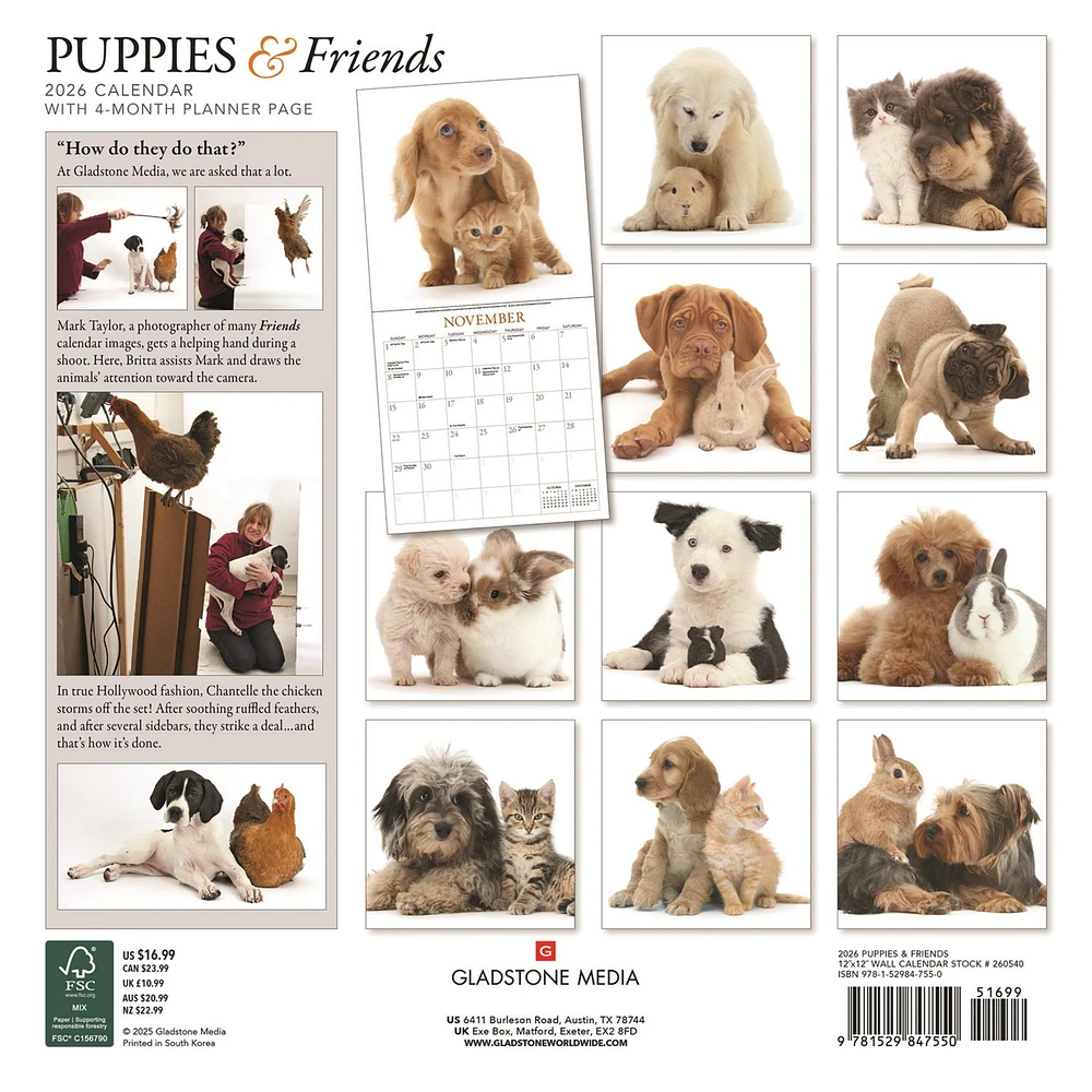 Puppies And Friends Wall  2026 Calendar