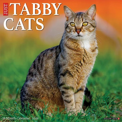 Just Tabby Cats 2026 Wall Calendar - Online Exclusive
