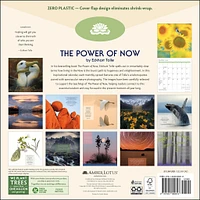 Power Of Now 2026 Wall Calendar - Online Exclusive