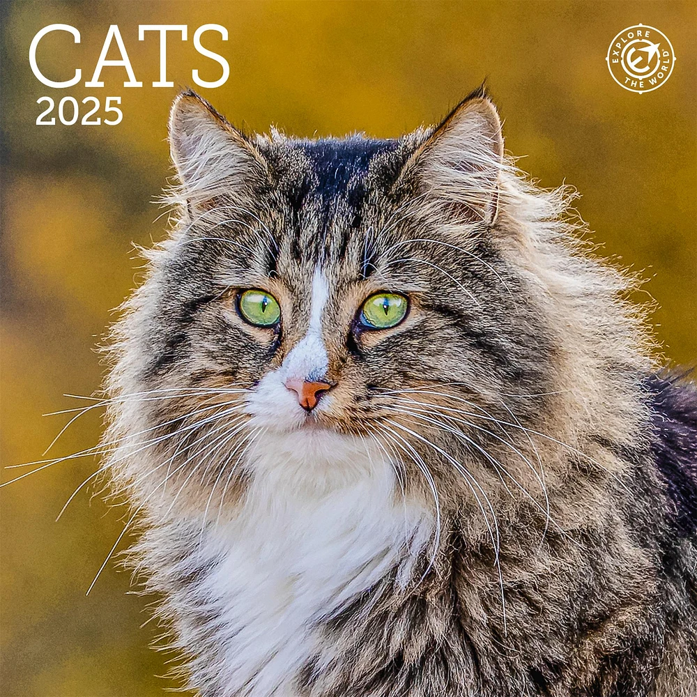 Cats Mini 2025 Calendar