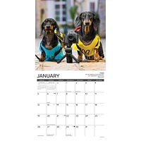 Dachshund Rules Wall 2025 Calendar