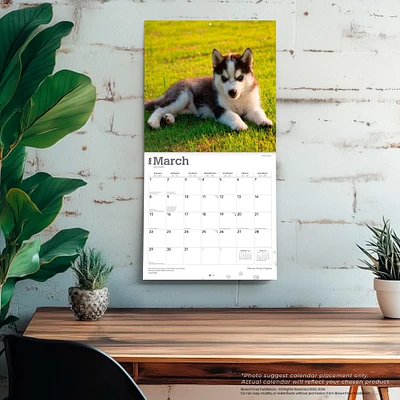 Siberian Husky Puppies 2026 Wall Calendar