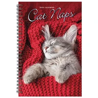 Cat Naps Engagement 2025 Calendar