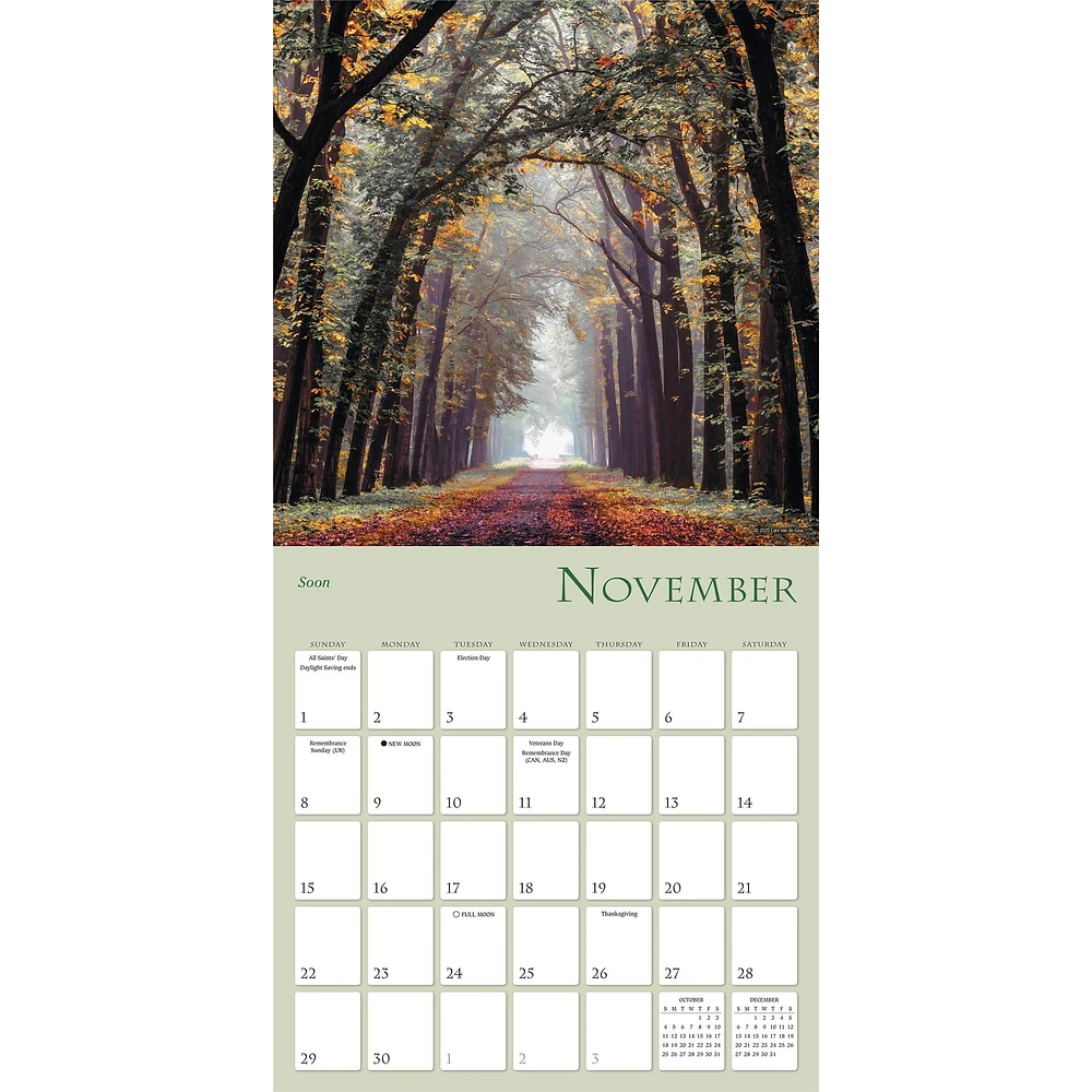 Enchanted Pathways 2026 Wall Calendar