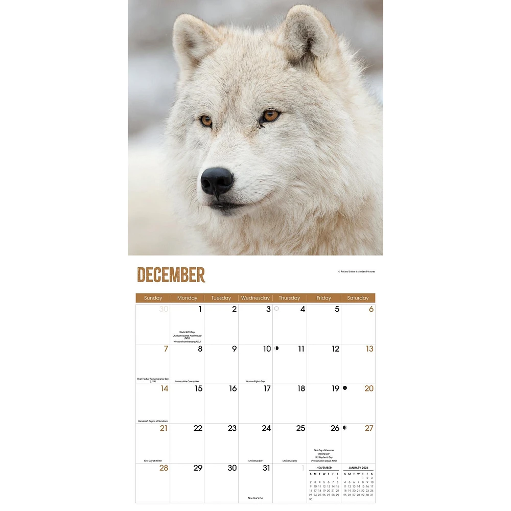 Wolves Wall 2025 Calendar