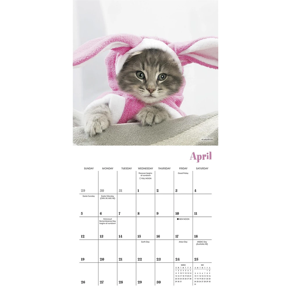 Cats In Hats 2026 Mini Calendar