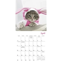 Cats In Hats 2026 Mini Calendar
