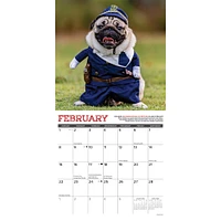 Pug Mugs 2026 Wall Calendar