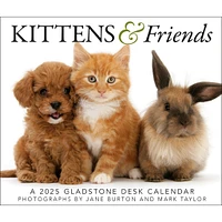 Kittens And Friends Box 2025 Calendar