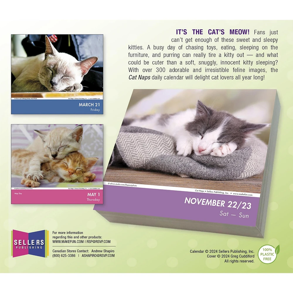 Cat Naps Box 2025 Calendar