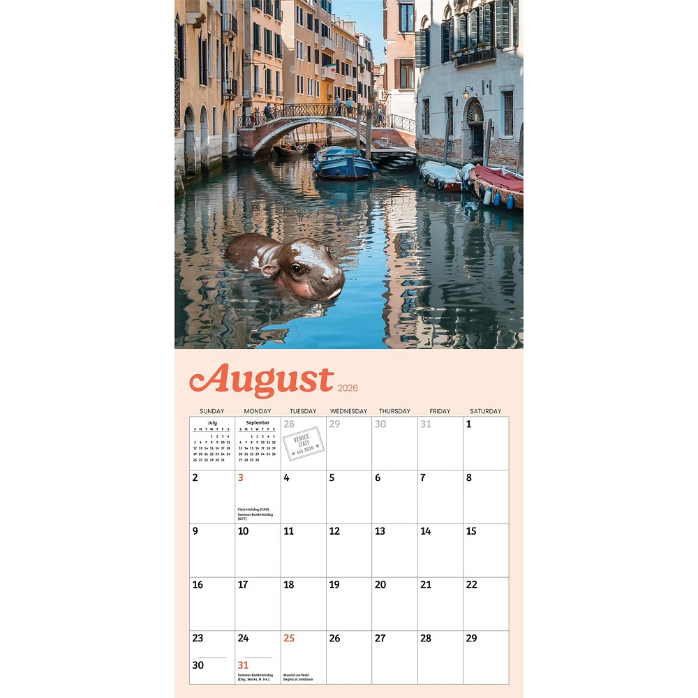 Tiny Hippo Big World 2026 Mini Calendar